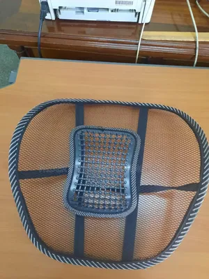 Car/ Chair Back Rest