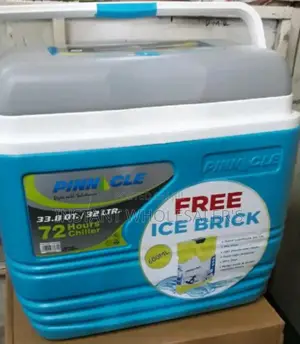 Reliable 32 Litres Cooler Box