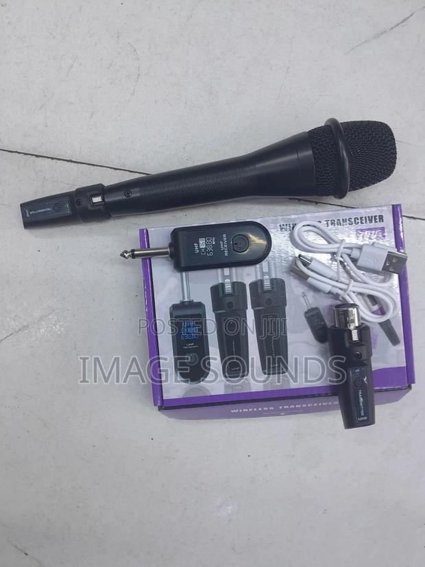 Wireless Microphone System