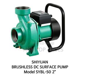 Shiyuan Brushless Dc Surface Waterpump 1200w With Controller - thumbnail 2