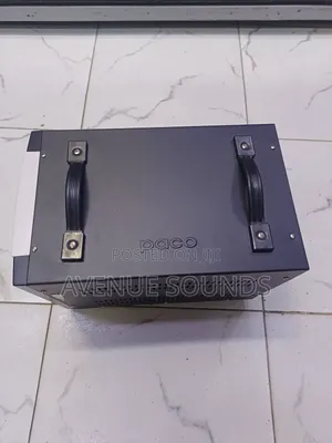 Paco 3kva Voltage Regulator 110v and 220v Output