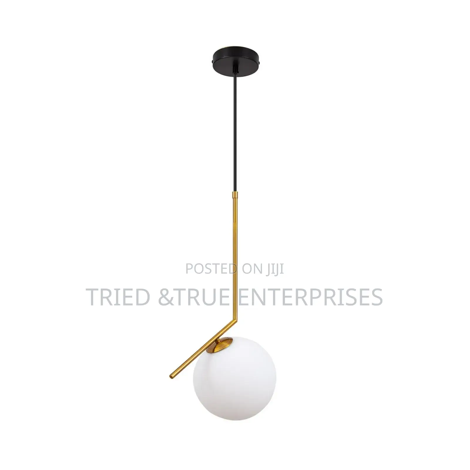 Single Globe Pendant Light Yw3