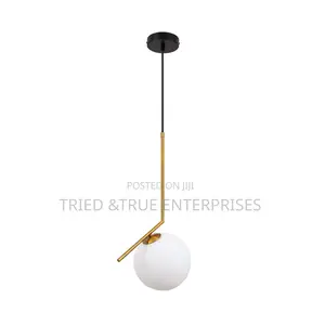 Single Globe Pendant Light Yw3