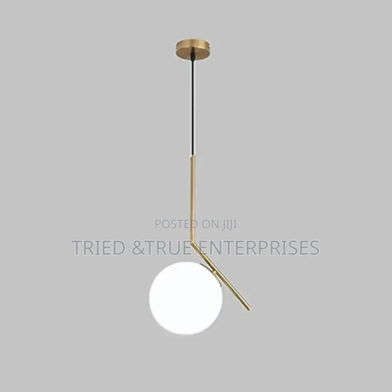 Unique Globe Pendant Light Yw8