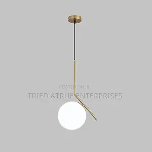 Unique Globe Pendant Light Yw8