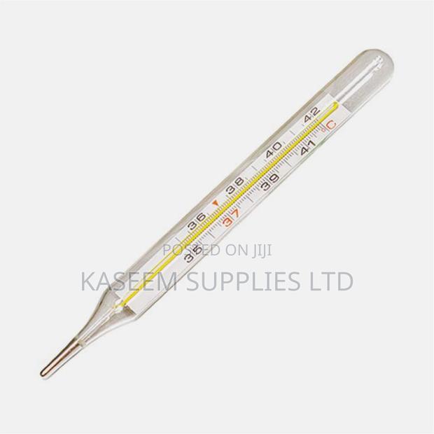 Mercury Scale Thermometer - main view