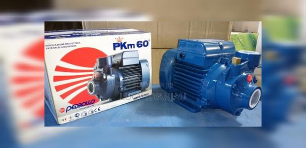 *Water Pump Pedroller *Water Pump 0.5 - main view