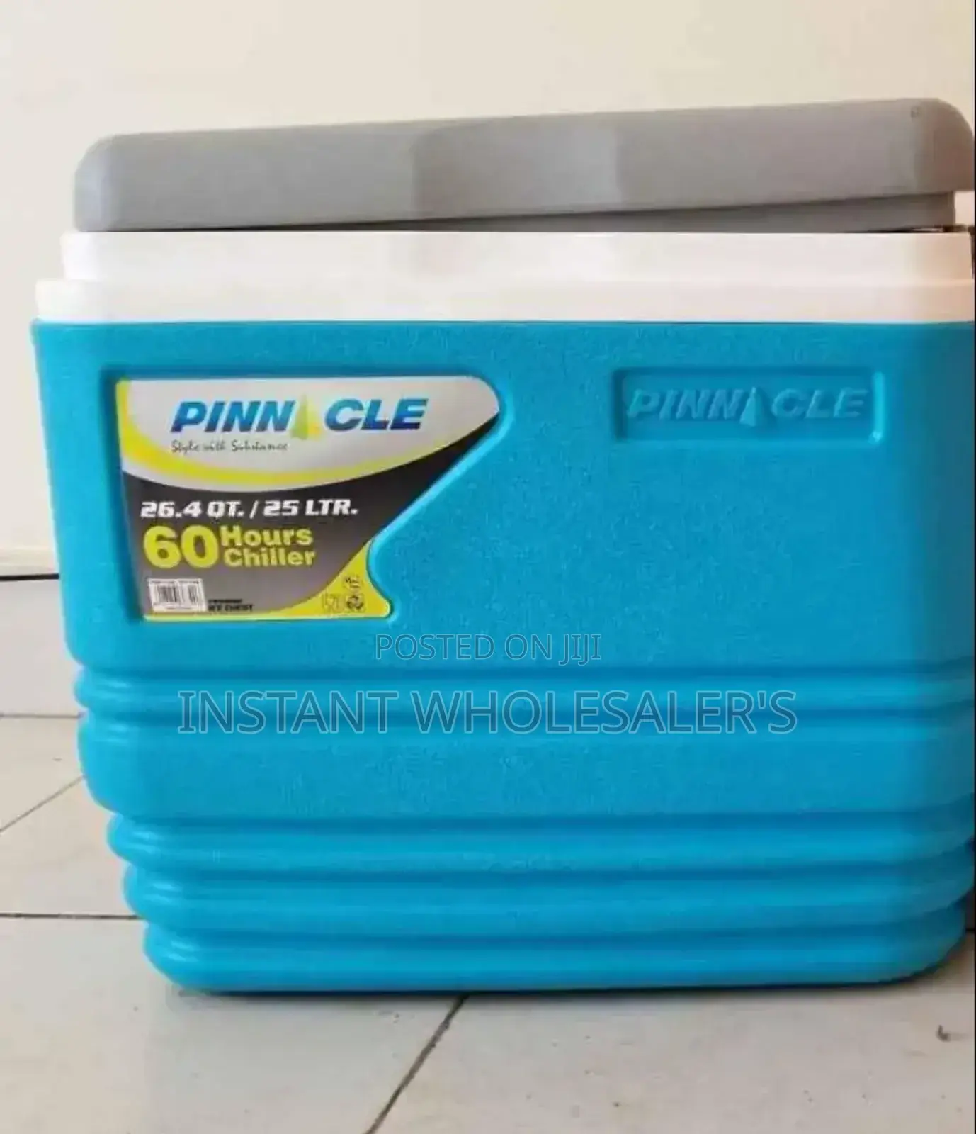Pinnacle 25 Litres Cooler Box