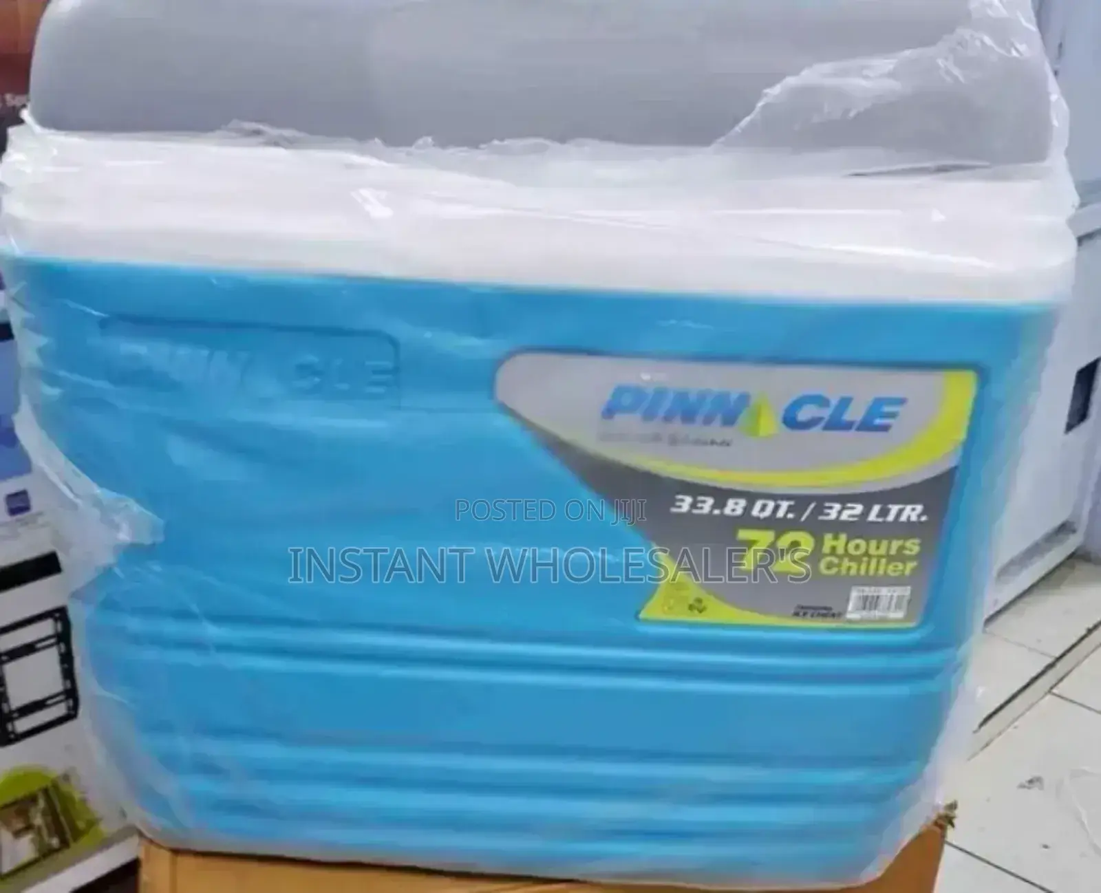 33 Litres Capacity Cooler Box