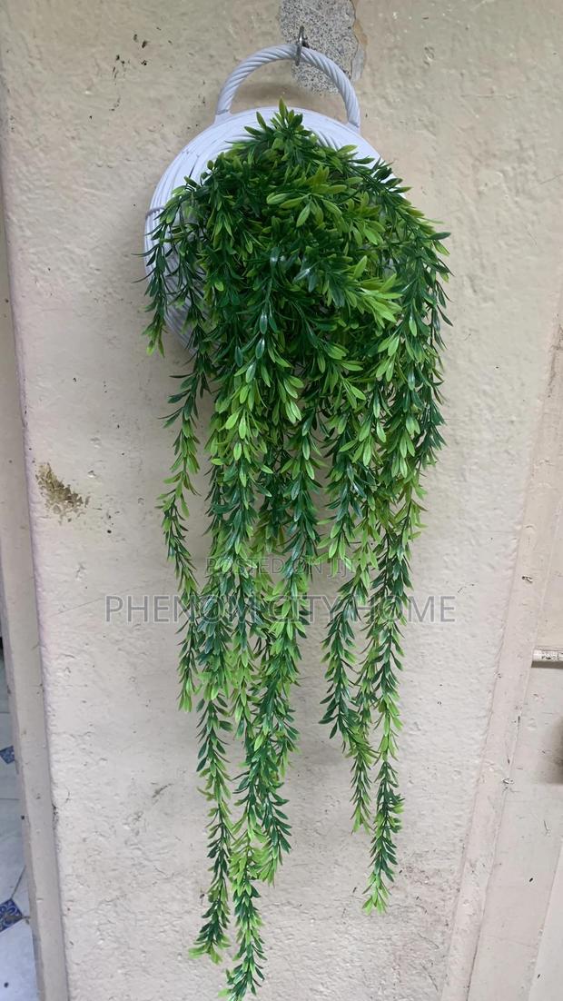 Green Wall Hangings Plus Basket - main view