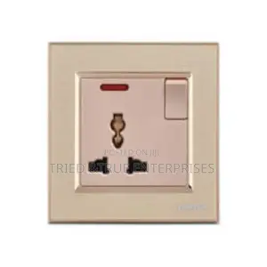 Unique Golden Single Socket Tf4