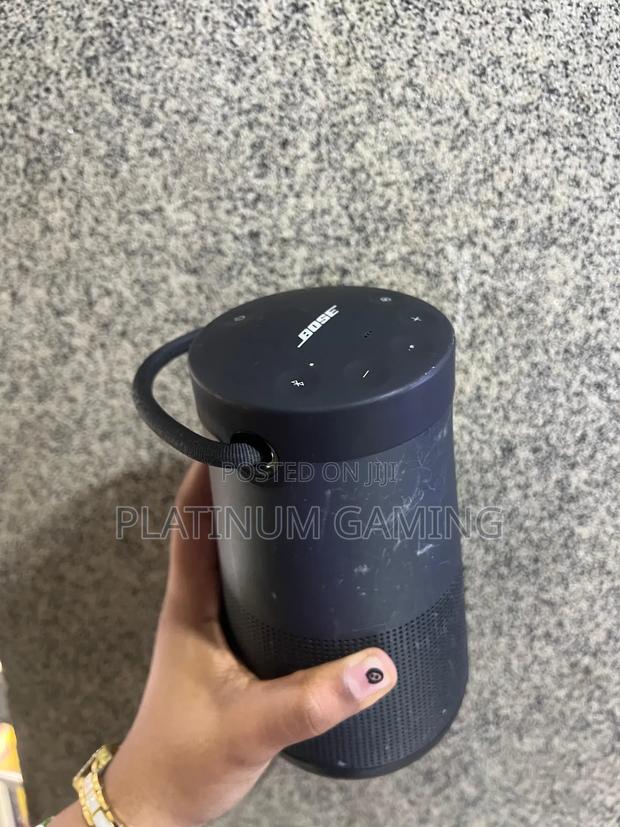 Bose Soundlink Plus - main view