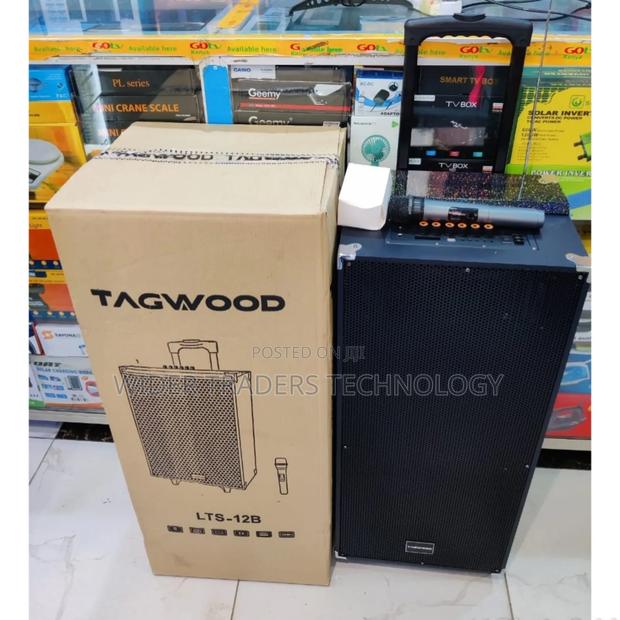 *Tagwood 12" 12B Rechargeable Portable Speaker*