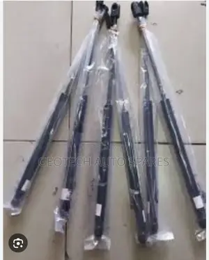 Mitsubishi Outlander Boot Shocks