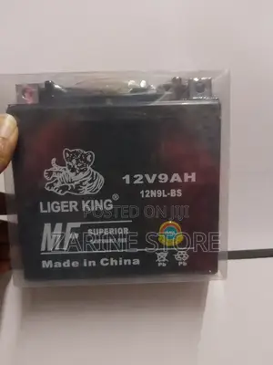 9 MAH 12 v Battery