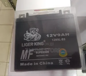 Liger King 9AH 12V Battery