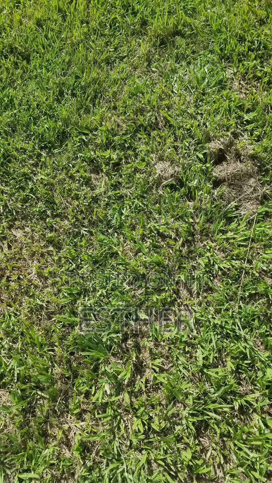 50 by 100 Plots for Sale in Malava.