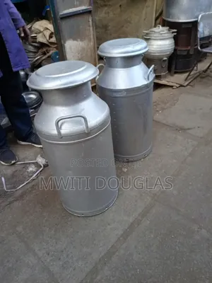 Double Standard Size Stainless Steel Sink