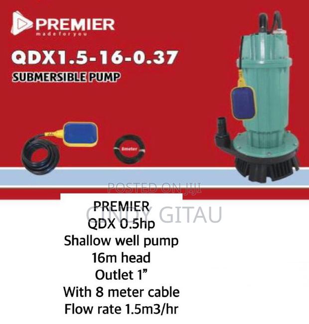 Premier QDX 0.5HP Shallow Well Pump 16m Head