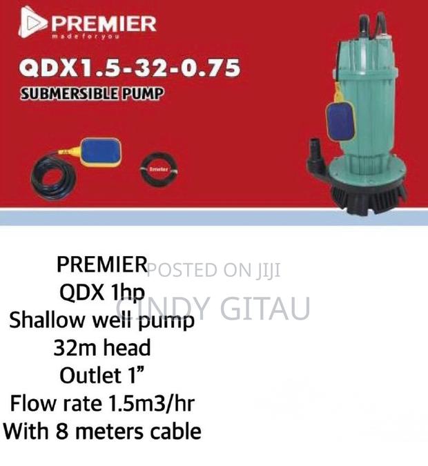 Premier QDX 1HP Shallow Well Pump 32m Head