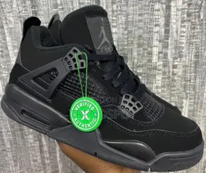 Air Jordan 4 'Blackcat' 36_45 at 3200