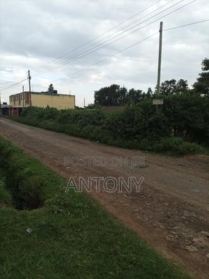 Plot For Sale 1/4 Acre - thumbnail 2