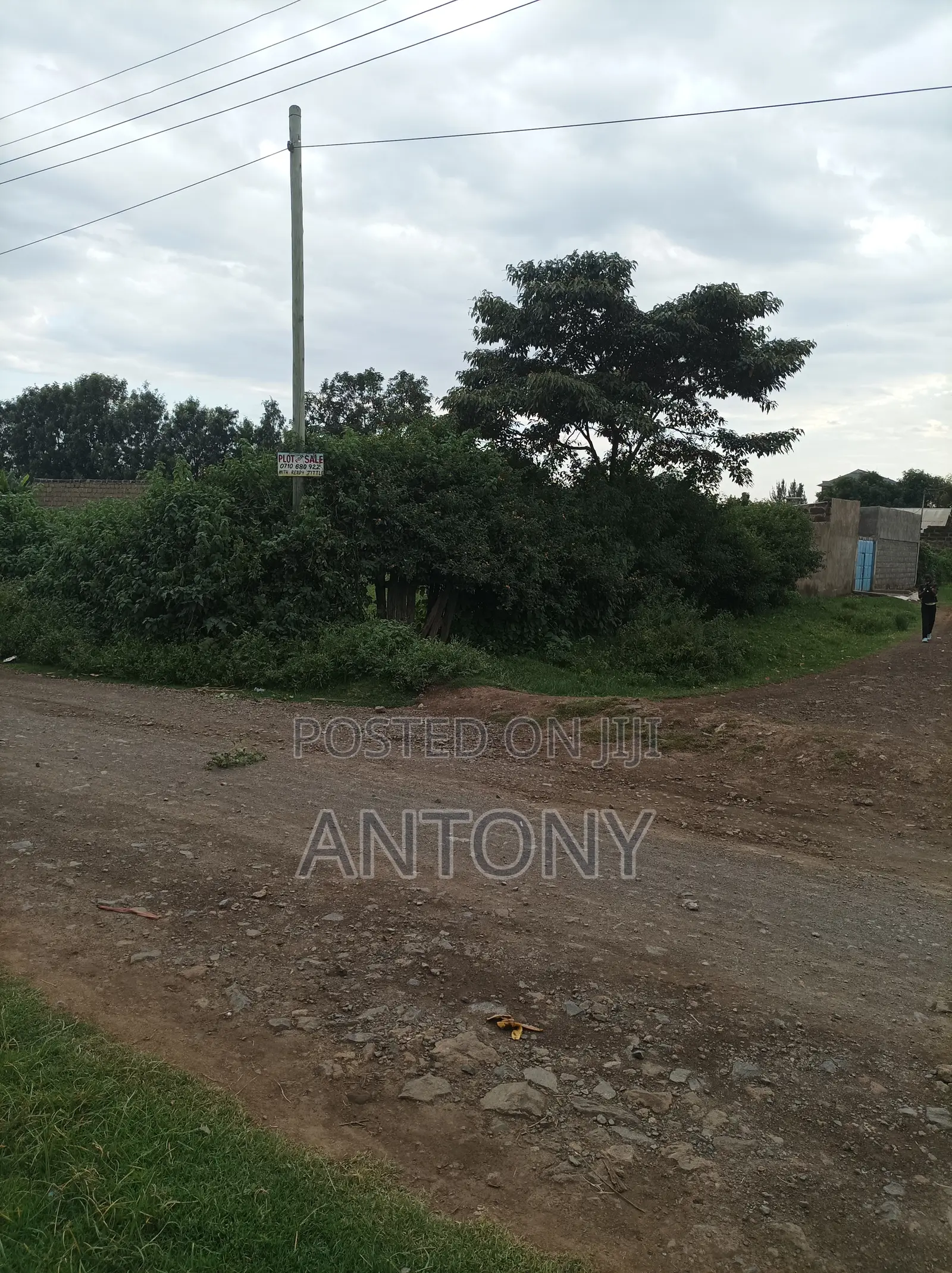 Plot for Sale 1/4 Acre (40m*20m)