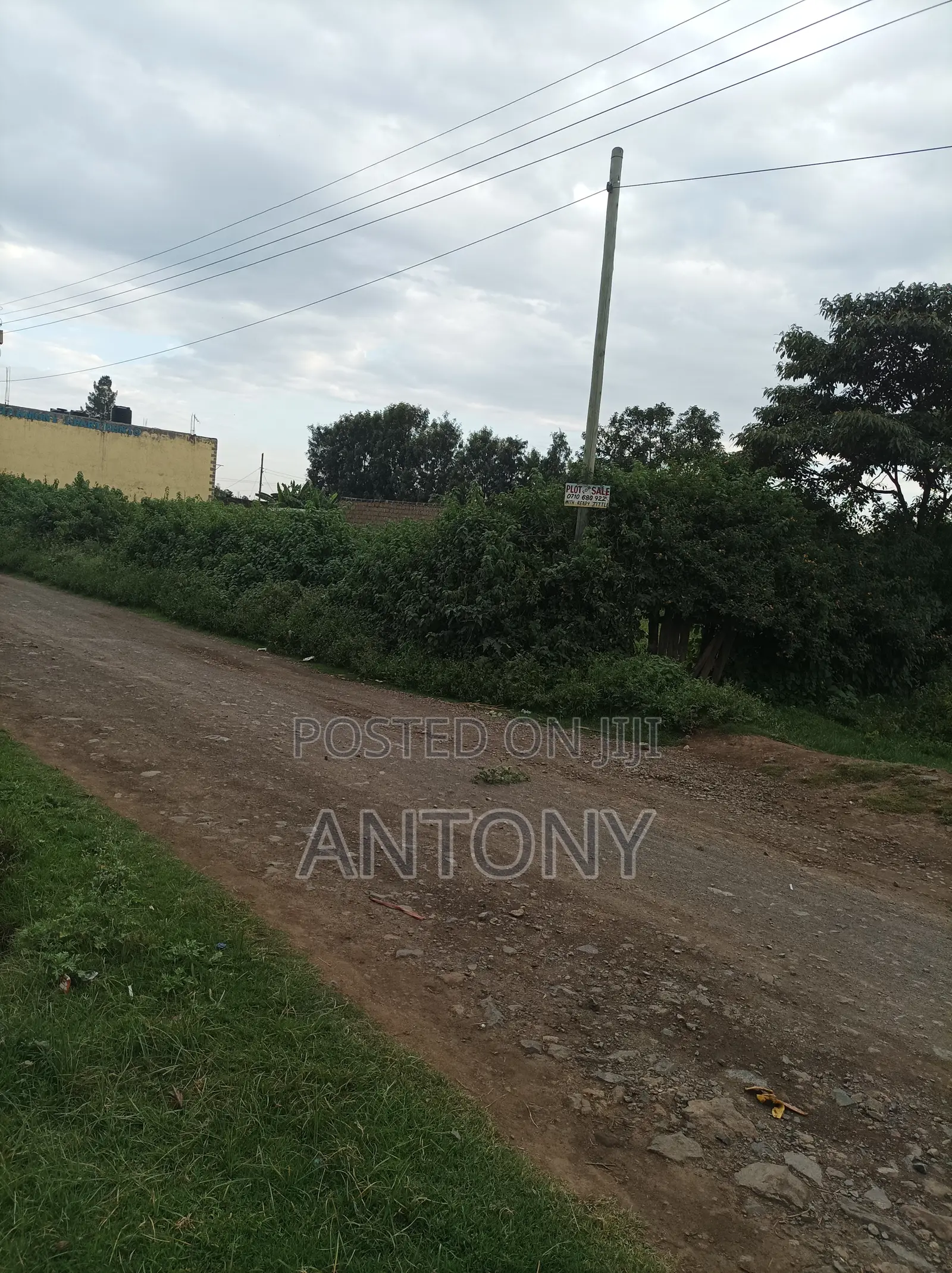 Plot for Sale 1/4 Acre (40m*20m)