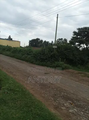 Plot for Sale 1/4 Acre (40m*20m)