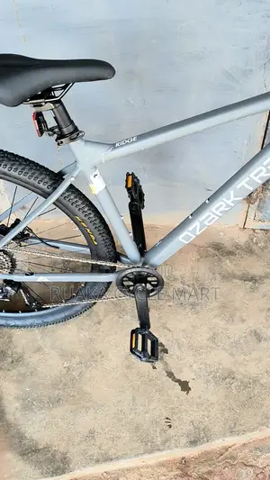 Ozark Traill 29er With 1 by Group Set