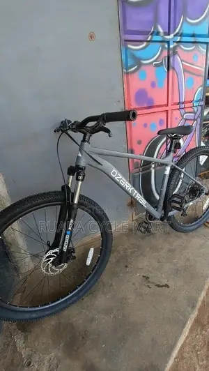 Ozark Traill 29er With 1 by Group Set