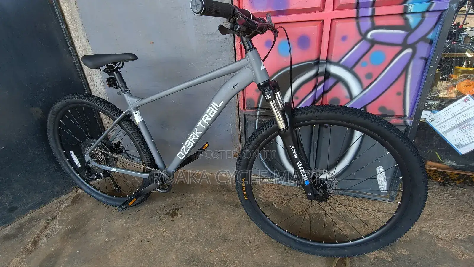 Ozark Traill 29er With 1 by Group Set