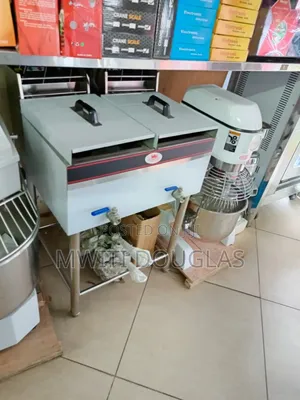 Standard Newly Imported Double Chips Fryer