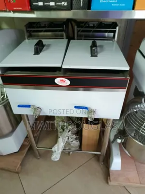 Top Impressive New Imported Chips Fryer