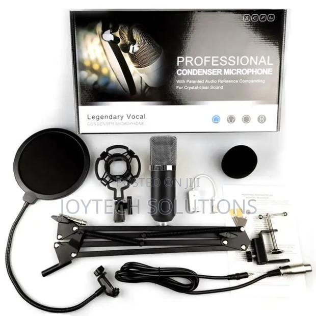 Original Hot Selling Condenser Microphone and Sound