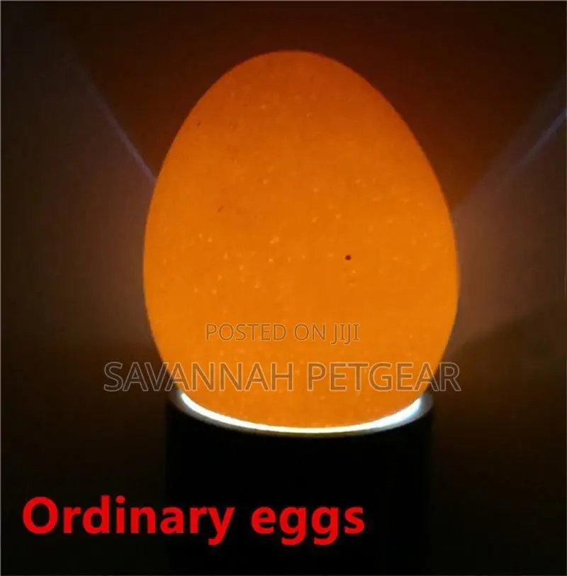Egg Candler High-Intensity Incubator Candling Lamp for Eggs