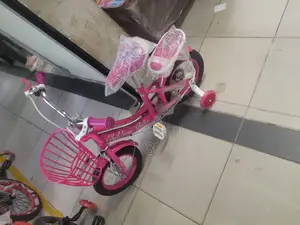 The Ultimate Beginner's Bicycle - Size 12 for Toddlers