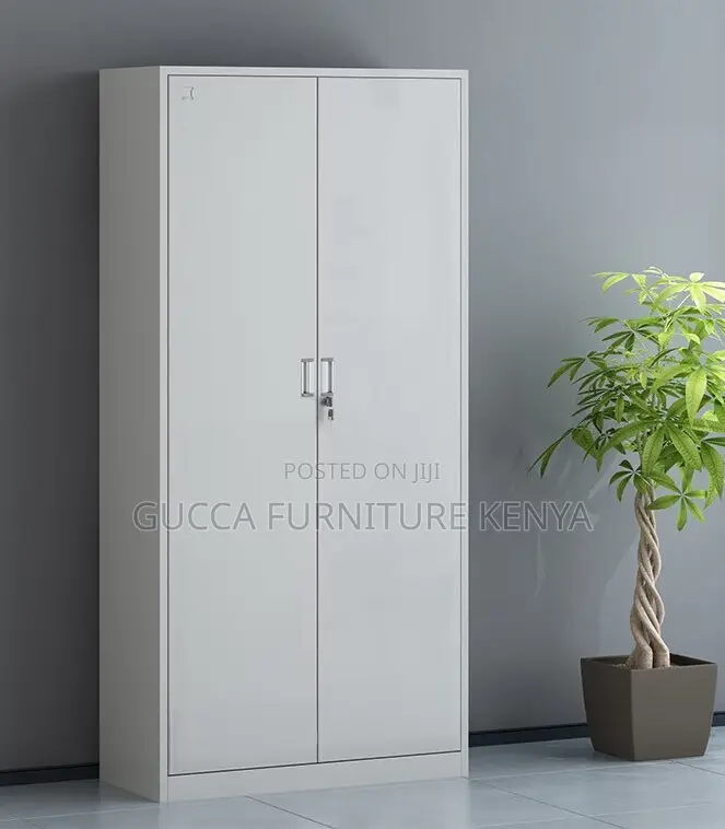 Cabinets:2-Door Modern Rectangular Steel Data Cabinet