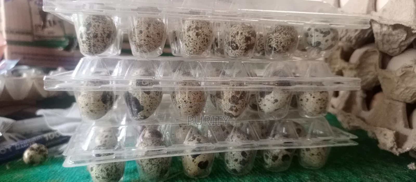 Quail Eggs