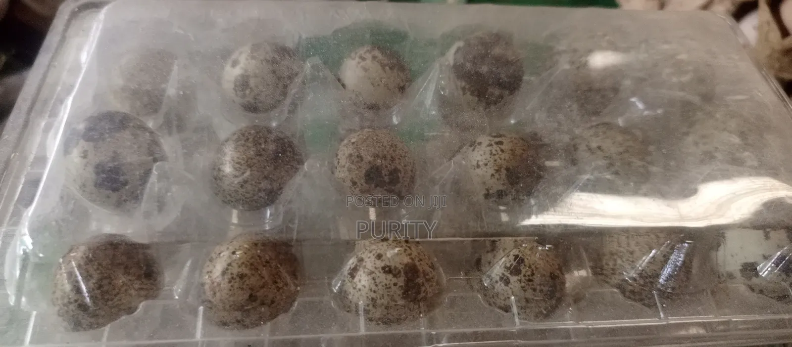 Quail Eggs