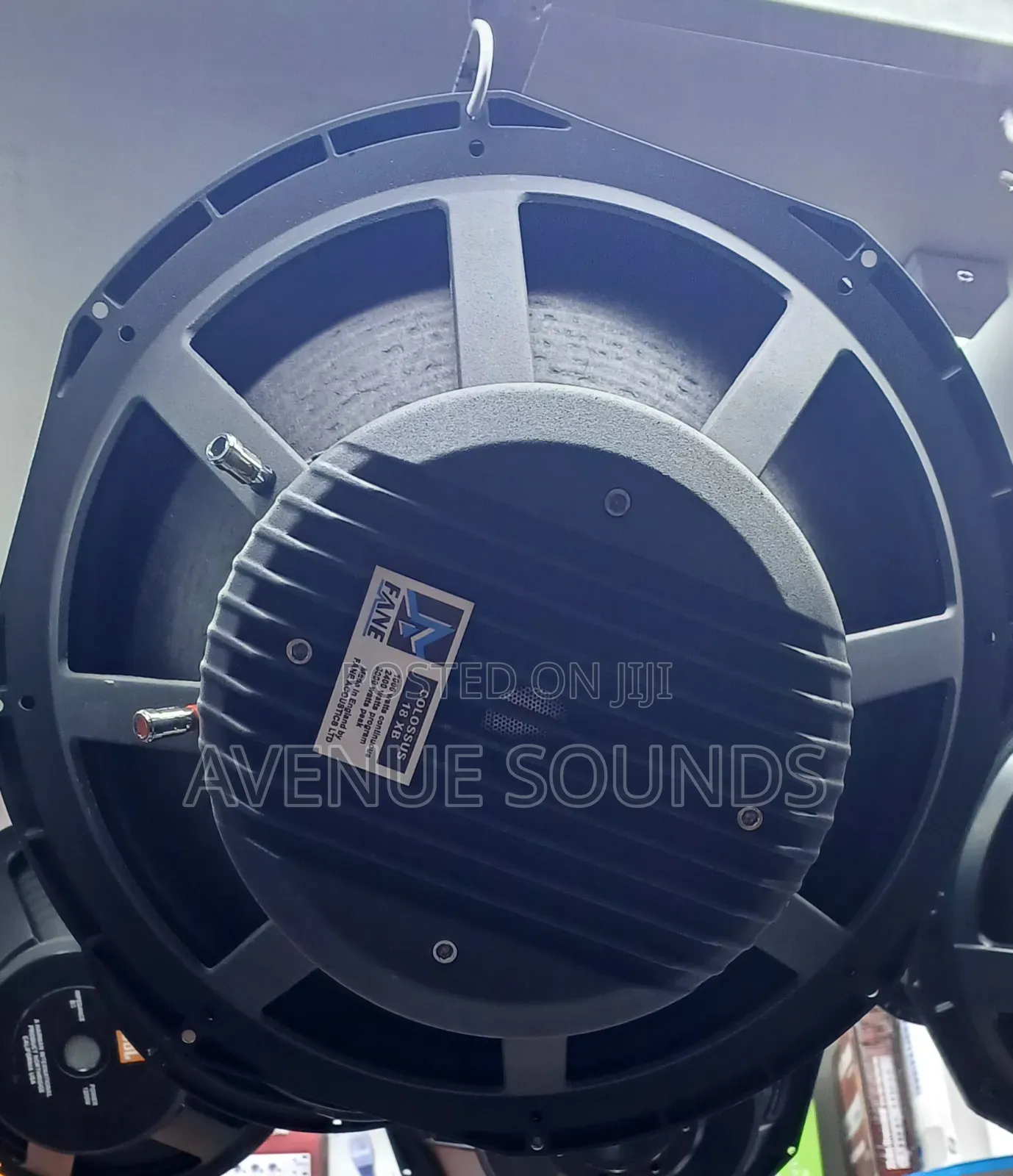 Fane 18inch Bass Speaker