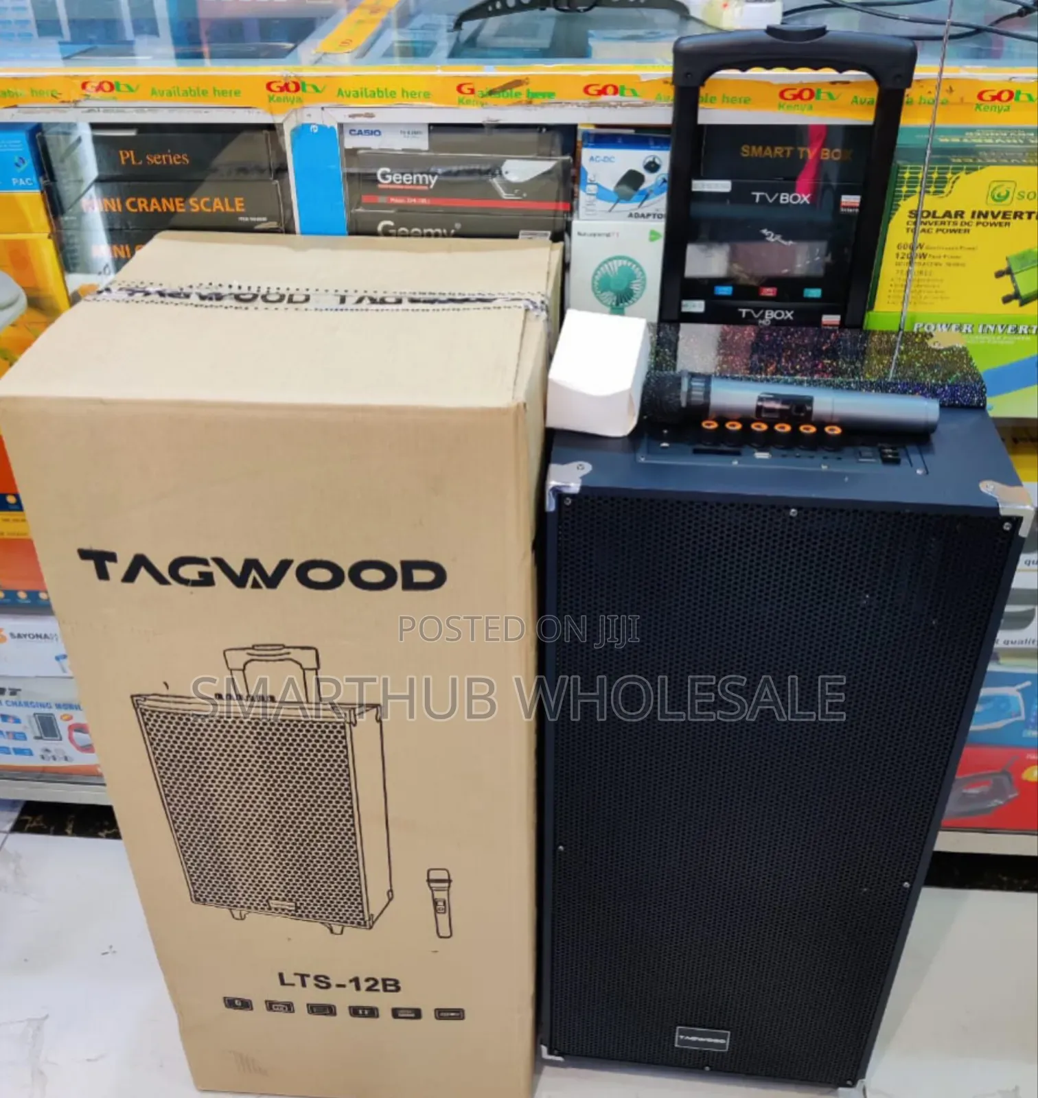 *Tagwood 12" 12b Rechargeable Portable Speaker*