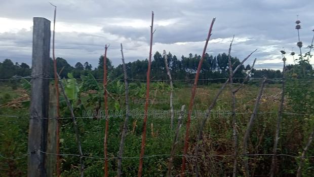 32 Acres for Sale in Nangili - thumbnail 2