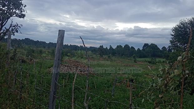 32 Acres for Sale in Nangili - thumbnail 5