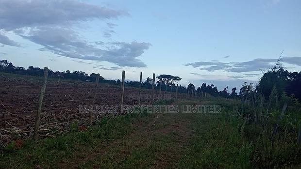 32 Acres for Sale in Nangili - thumbnail 6