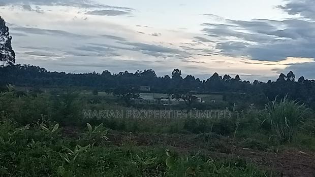 32 Acres for Sale in Nangili - thumbnail 8