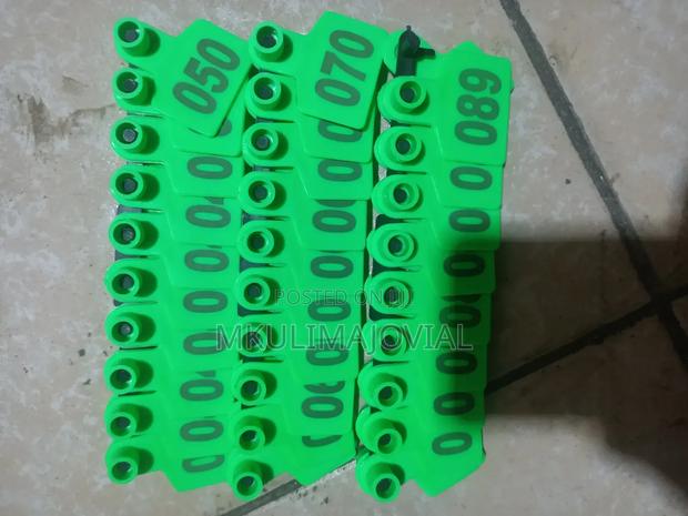 Cow/S Sheep/S Goat/S Ear Tags