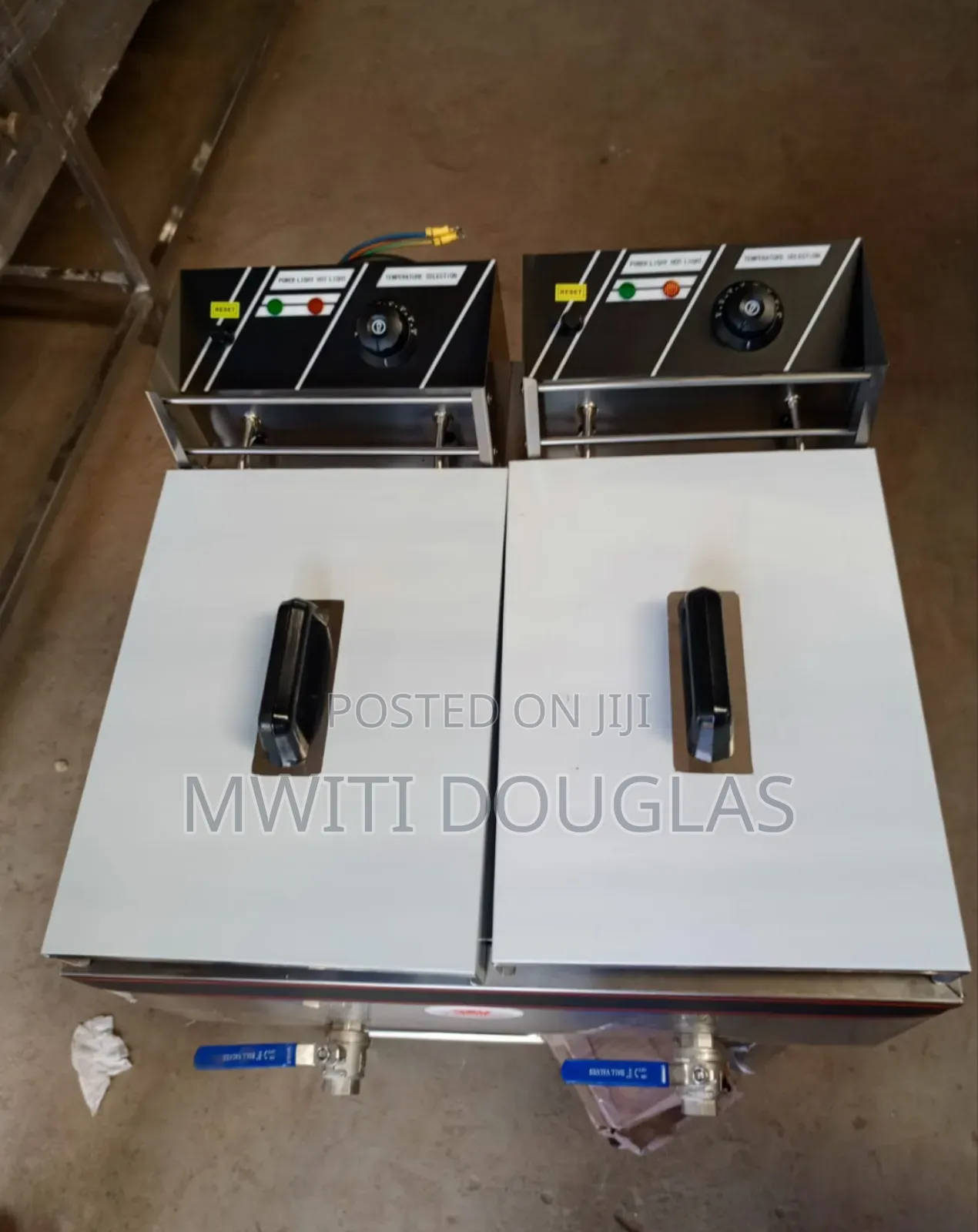 Astonishing Modern Double Fryer, Imported