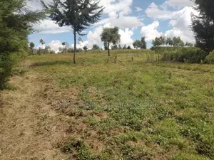 Quarter Acre for Sale in Nyandarua