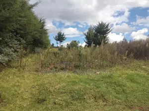 Quarter Acre for Sale in Nyandarua